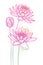 Vector bouquet of outline ornate Lotos or water lily flower and bud in pastel pink isolated on white background.