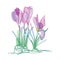 Vector bouquet with outline pastel purple Cyclamen or Alpine violet bunch, bud and leaf isolated on white background.