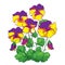 Vector bouquet with outline yellow and purple Pansy or Heartsease or Viola tricolor flower and green leaf isolated on white.