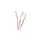 Vector bouquet Willow twigs branch for springtime design