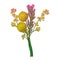 Vector boutonniere with outline ball of craspedia or billy buttons dried flower in yellow and pink isolated on white background.