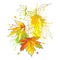 Vector branch of outline Acer or Maple ornate leaves in yellow and orange colors and pastel green blot isolated on white.