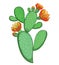 Vector branch of outline Indian fig Opuntia or prickly pear cactus with orange flower and spiny green stem isolated on white.
