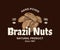 Vector brazil nut logo