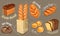 Vector bread icons set. Long loaf, rye bread, baguette, rolls, brioche.