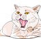 Vector British shorthair lilac cat screaming MEOW