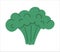 Vector broccoli on white background. Healthy food icon. Vegetable illustration.