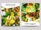 Vector brochure design template with blur background with vegetables and eco labels. Healthy fresh food, vegetarian and eco