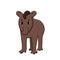 Vector brown cute outline doodle cartoon young funny american south pinchaque tapirus mountain wild ecuador adult tapir. Isolated
