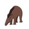 Vector brown cute outline doodle cartoon young funny tapirus pinchaque wild South American mountain tapir. Isolated illustration