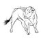 Vector Bull. A outline illustration on a white background