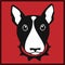 Vector bull terrier head