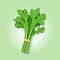 Vector of a bunch of celery on a green background