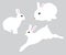 Vector bunnies silhouettes isolated on white background.