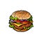 Vector burger sketch isolated illustration