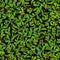 Vector bush background seamless pattern green fence, ornamental plant leaves, saturated.