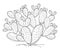 Vector bush of outline Indian fig Opuntia or prickly pear cactus, fruit and spiny stem in black isolated on white background.