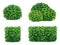 Vector bush set