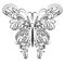 Vector Butterfly artistic lace ornamented