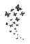 Vector butterfly flight illustration