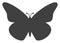 Vector Butterfly Icon