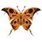 Vector butterfly in steampunk style. A mechanical insect on a white isolated background