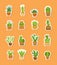 Vector cacti in pots flat style stickers