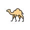 Vector camel, caravan, desert animal flat color line icon.