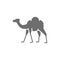 Vector camel, caravan, desert animal gray icon.
