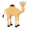 Vector camel for your ideas