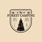 Vector camp logo. Tourism sign with hand drawn spruce illustration. Retro hipster emblem, badge of outdoor adventures.