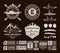 Vector canoeing and kayaking logo, badges and design elements
