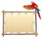 Vector Canvas Frame with Parrot