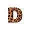 Vector capital letter D with wild leopard skin print.