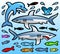 Vector caricature - dolphin, sharks and fish