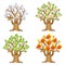 Vector cartoon apple tree on a different seasons. Autumn, winter, summer, spring