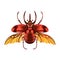 Vector Cartoon Atlas beetle Character isolated illustration