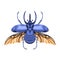 Vector Cartoon Atlas beetle Character isolated illustration