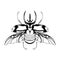 Vector Cartoon Atlas beetle Character isolated illustration