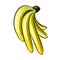 Vector Cartoon Bananas.