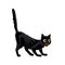 Vector Cartoon Black Cat in shock she was astonished Isolated