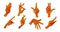 Vector cartoon brown female hand gesture icon set