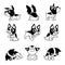 Vector cartoon character cute boston terrier dog poses