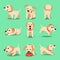 Vector cartoon character labrador dog poses