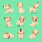 Vector cartoon character labrador dog poses