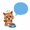Vector cartoon character norwich terrier dog and speech bubble