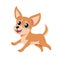 Vector cartoon character running chihuahua dog