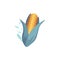 Vector Cartoon corn cob with green leaves