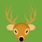 Vector Cartoon Cute Deer Face Icon Isolated