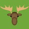 Vector Cartoon Cute Moose Face Icon Isolated